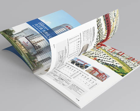 山東龍泉股份宣傳畫冊